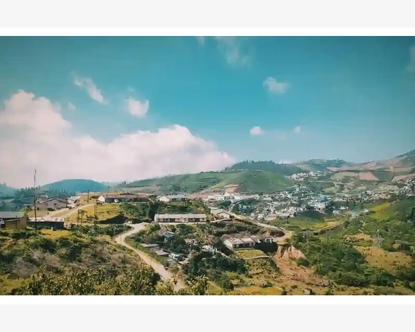桂龙止咳化痰颗粒：缓解咳嗽，舒适呼吸，中医科普解析