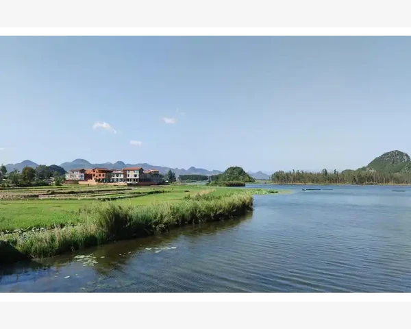 夏季燕麦化痰粥的食用方法与功效
